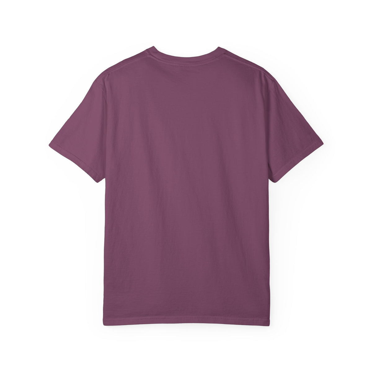 I Require Snacks Garment-Dyed T-shirt