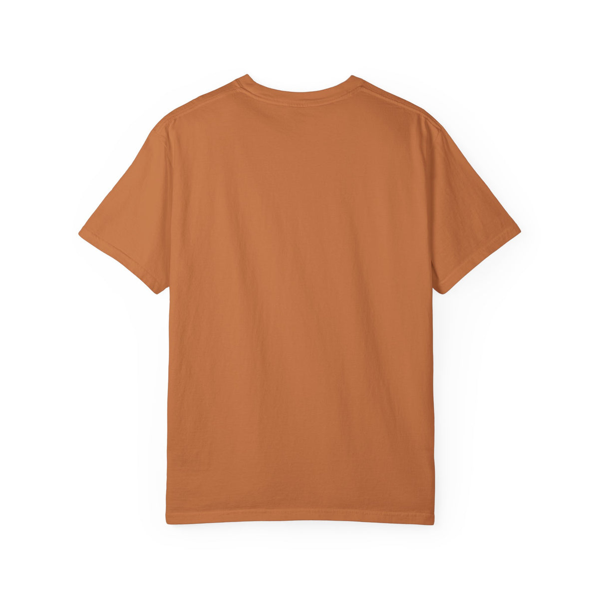 I Require Snacks Garment-Dyed T-shirt